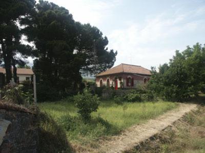 B&B Sotto I Pini Zafferana Etnea Exteriör bild